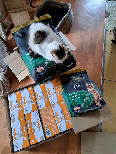 LUcky